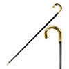 Трость Pasotti Inox Gold