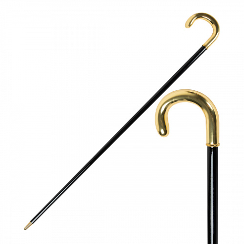 Трость Pasotti Inox Gold