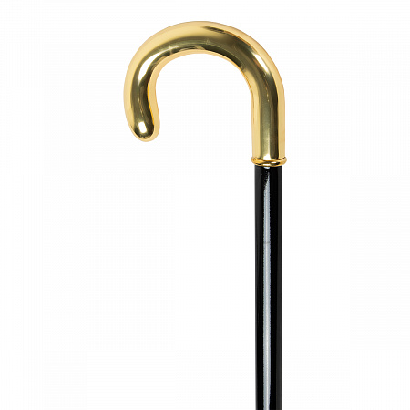 Трость Pasotti Inox Gold